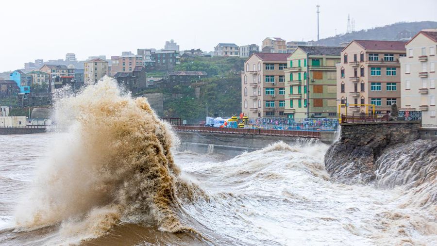 ZHOUSHAN, CHINA - SEPTEMBER 14: Strong winds batter trees as Typhoon Muifa approaches Zhoushan on September 14, 2022 in Zhoushan, Zhejiang Province of China. Typhoon Muifa is expected to make landfall on the coast of Zhoushan on Wednesday night. (Photo by Wang Gang/China News Service via Getty Images)