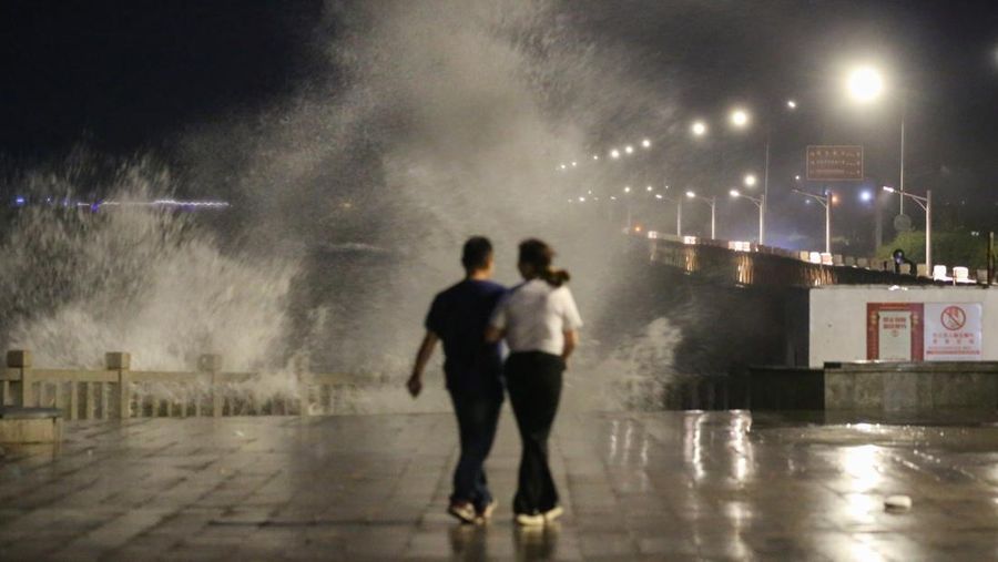 ZHOUSHAN, CHINA - SEPTEMBER 14: Strong winds batter trees as Typhoon Muifa approaches Zhoushan on September 14, 2022 in Zhoushan, Zhejiang Province of China. Typhoon Muifa is expected to make landfall on the coast of Zhoushan on Wednesday night. (Photo by Wang Gang/China News Service via Getty Images)