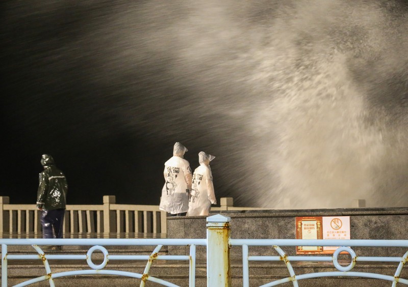 ZHOUSHAN, CHINA - SEPTEMBER 14: Strong winds batter trees as Typhoon Muifa approaches Zhoushan on September 14, 2022 in Zhoushan, Zhejiang Province of China. Typhoon Muifa is expected to make landfall on the coast of Zhoushan on Wednesday night. (Photo by Wang Gang/China News Service via Getty Images)