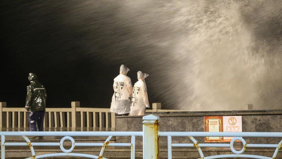 ZHOUSHAN, CHINA - SEPTEMBER 14: Strong winds batter trees as Typhoon Muifa approaches Zhoushan on September 14, 2022 in Zhoushan, Zhejiang Province of China. Typhoon Muifa is expected to make landfall on the coast of Zhoushan on Wednesday night. (Photo by Wang Gang/China News Service via Getty Images)