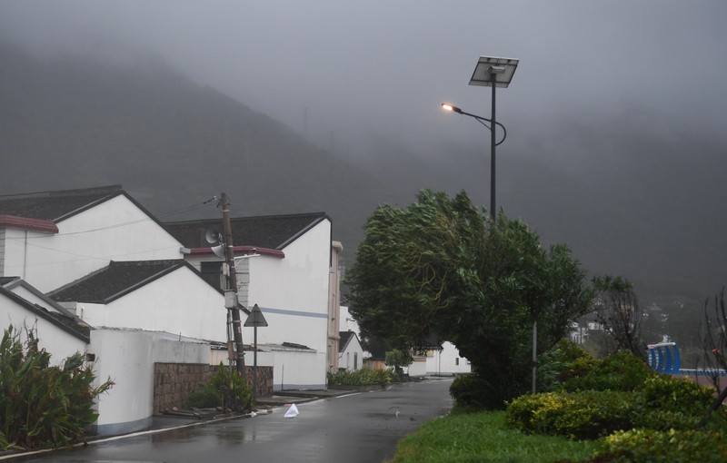 ZHOUSHAN, CHINA - SEPTEMBER 14: Strong winds batter trees as Typhoon Muifa approaches Zhoushan on September 14, 2022 in Zhoushan, Zhejiang Province of China. Typhoon Muifa is expected to make landfall on the coast of Zhoushan on Wednesday night. (Photo by Wang Gang/China News Service via Getty Images)