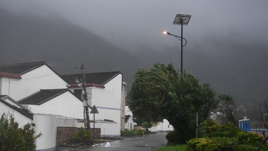 ZHOUSHAN, CHINA - SEPTEMBER 14: Strong winds batter trees as Typhoon Muifa approaches Zhoushan on September 14, 2022 in Zhoushan, Zhejiang Province of China. Typhoon Muifa is expected to make landfall on the coast of Zhoushan on Wednesday night. (Photo by Wang Gang/China News Service via Getty Images)