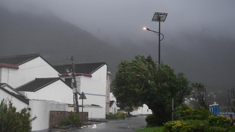 ZHOUSHAN, CHINA - SEPTEMBER 14: Strong winds batter trees as Typhoon Muifa approaches Zhoushan on September 14, 2022 in Zhoushan, Zhejiang Province of China. Typhoon Muifa is expected to make landfall on the coast of Zhoushan on Wednesday night. (Photo by Wang Gang/China News Service via Getty Images)