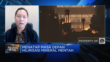 Didominasi PMA, Perbankan RI Tak Tertarik Hilirisasi Nikel?