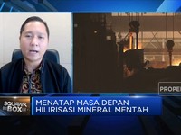 Didominasi PMA, Perbankan RI Tak Tertarik Hilirisasi Nikel?