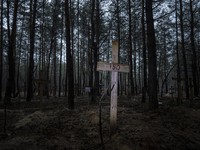 Polisi Temukan 100 Tengkorak dalam Kasus Penjarahan Kuburan