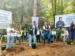 Hijaukan Indonesia, Jasa Raharja Tanam 20.000 Pohon