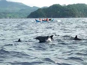 Waktunya Liburan! Inilah 15 Wisata Lampung Terbaru, Hits dan Murah