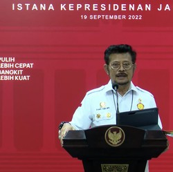 Mentan Sebut Cadangan Beras RI 'Banjir', Tapi Kok Mahal?
