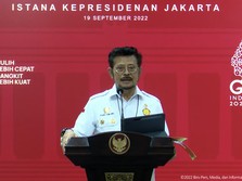 Mentan Sebut Cadangan Beras RI 'Banjir', Tapi Kok Mahal?