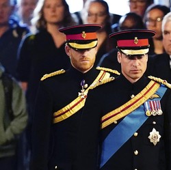 Harry Sedih, Logo Ratu Elizabeth II Dicopot dari Seragamnya