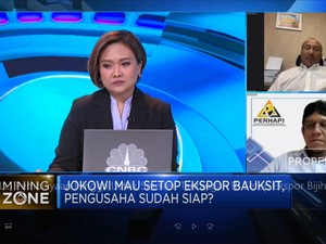 Dana Hingga Listrik Smelter, Tantangan Setop Ekspor Bauksit