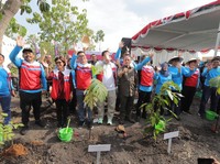 Hutan Pertamina-UGM Diresmikan, Bisa Kurangi 170 Ribu Ton CO2