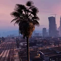 Rilis Game GTA 6 Mundur, Satu Kantor Dilarang WFH