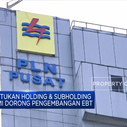 Menteri BUMN Resmikan Holding & Subholding PLN