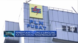 Menteri BUMN Resmikan Holding & Subholding PLN