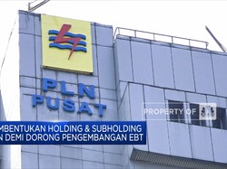 Menteri BUMN Resmikan Holding & Subholding PLN