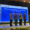 Subholding PLN Resmi Terbentuk, Erick Thohir Wanti-Wanti Ini