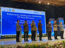 Subholding PLN Resmi Terbentuk, Erick Thohir Wanti-Wanti Ini
