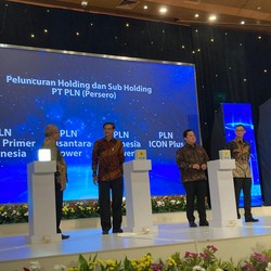 Resmi Terbentuk, Ini Dia Rincian Subholding PLN