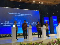 Resmi Terbentuk, Ini Dia Rincian Subholding PLN