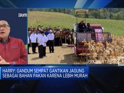 Sederet Tantangan PT Berdikari Genjot Populasi Sapi