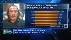 Harga Gabah Naik Signifikan, Efek Petani Enggan Tanam Padi?