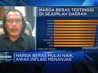 Harga Gabah Naik Signifikan, Efek Petani Enggan Tanam Padi?