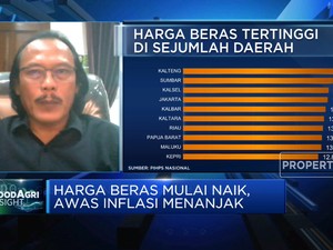 Harga Gabah Naik Signifikan, Efek Petani Enggan Tanam Padi?