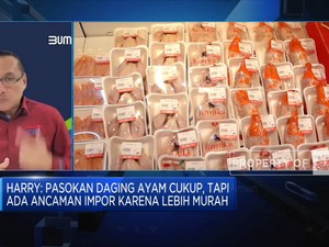 Jurus PT Berdikari Genjot Populasi Sapi
