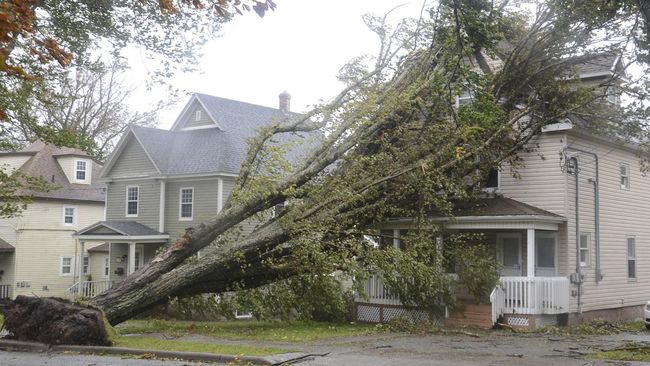A “giant” storm reaching 130 km/h hits Canada