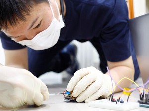 Wujud Robot Mini Kecoa yang Bisa Lakukan Penyelamatan