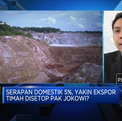Jokowi Mau Setop Ekspor Timah, Pengusaha Kaget & Bingung!