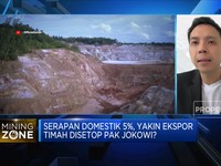 Pengusaha Minta Setop Ekspor Timah Dilakukan Bertahap,Kenapa?