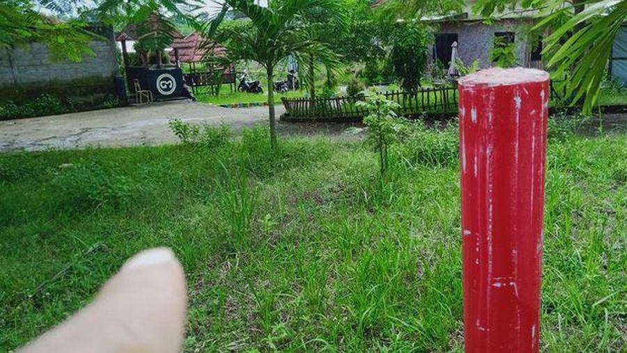 Situs di sekitar tol Pandaan-Malang. (Foto: detikjatim/Muhammad Aminudin)