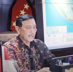 Awas Krisis Pangan, Luhut Ajak Orang RI Tanam Cabai Sendiri