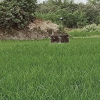 Penampakan Penemuan 'Harta Karun' di Jalur Proyek Tol Jawa