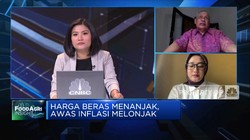 Isu Kesejahteraan Petani, Tantangan Genjot Produksi Beras RI