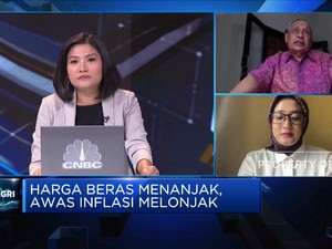 Isu Kesejahteraan Petani, Tantangan Genjot Produksi Beras RI
