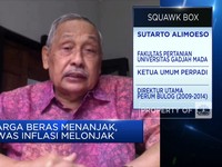 Perpadi Ungkap Penyebab Harga Beras Menanjak, Efek BBM Naik?