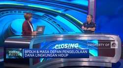 Tantangan BPDLH Salurkan Dana Lingkungan ke Proyek Hijau