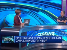 Tantangan BPDLH Salurkan Dana Lingkungan ke Proyek Hijau