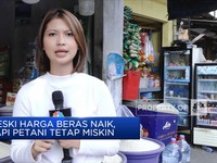Duh! Harga Beras Terus Naik