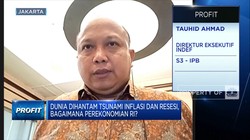 Ekonom: RI Aman Dari Resesi, Tapi PDB 2023 Bisa Melambat