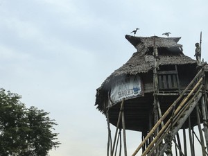 5 Rumah Adat Suku Dayak, Ada Lamin hingga Betang Tambaba