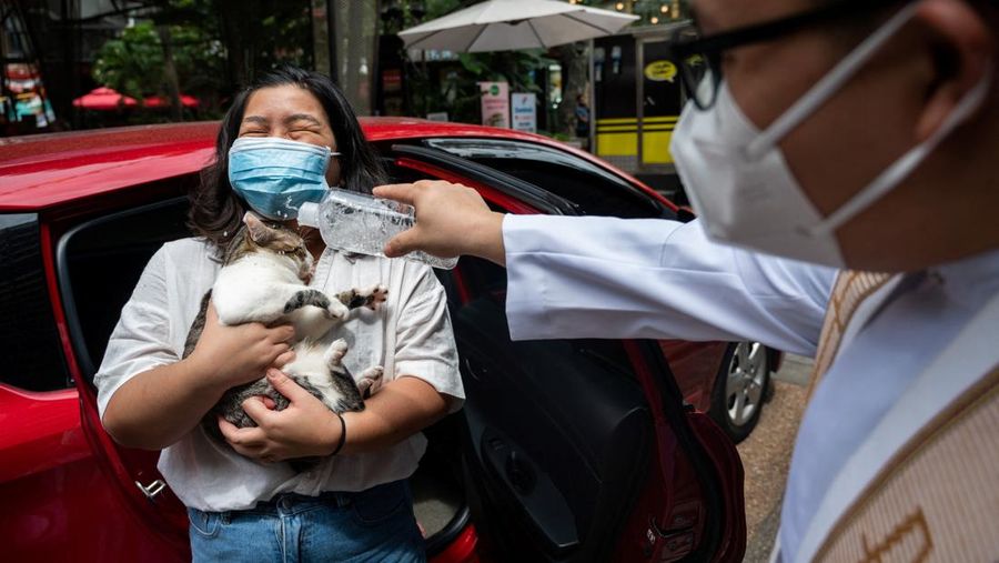Pet owners walk with their dogs during a pet wedding, ahead of World Animal Day, at a mall in Quezon City, Metro Manila, Philippines, October 2, 2022. REUTERS/Lisa Marie David