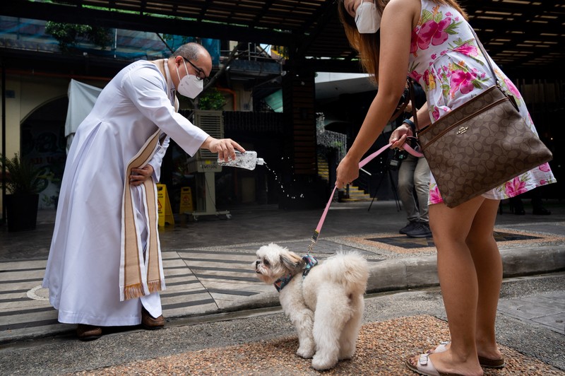 ANIMAL DAY-PHILIPPINES/ Pet owners walk with their dogs during a pet wedding, ahead of World Animal Day, at a mall in Quezon City, Metro Manila, Philippines, October 2, 2022. REUTERS/Lisa Marie David
