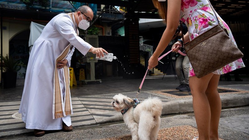 Pet owners walk with their dogs during a pet wedding, ahead of World Animal Day, at a mall in Quezon City, Metro Manila, Philippines, October 2, 2022. REUTERS/Lisa Marie David