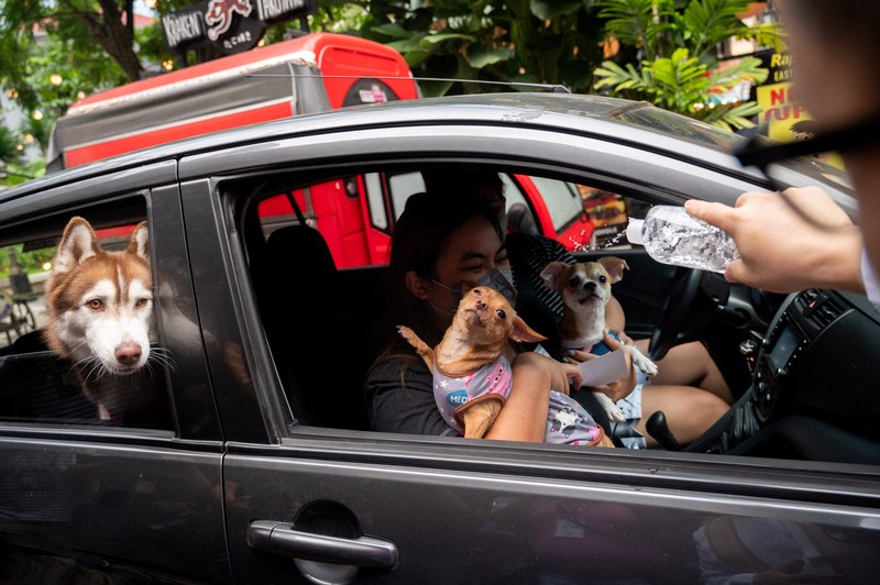 ANIMAL DAY-PHILIPPINES/ Pet owners walk with their dogs during a pet wedding, ahead of World Animal Day, at a mall in Quezon City, Metro Manila, Philippines, October 2, 2022. REUTERS/Lisa Marie David