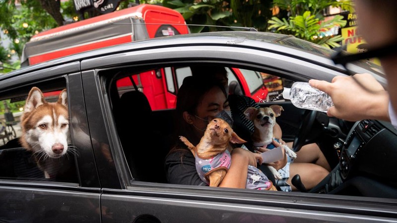 Pet owners walk with their dogs during a pet wedding, ahead of World Animal Day, at a mall in Quezon City, Metro Manila, Philippines, October 2, 2022. REUTERS/Lisa Marie David